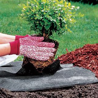 WEED CONTROL FABRIC 1MX20MTR - burkes_Hardware