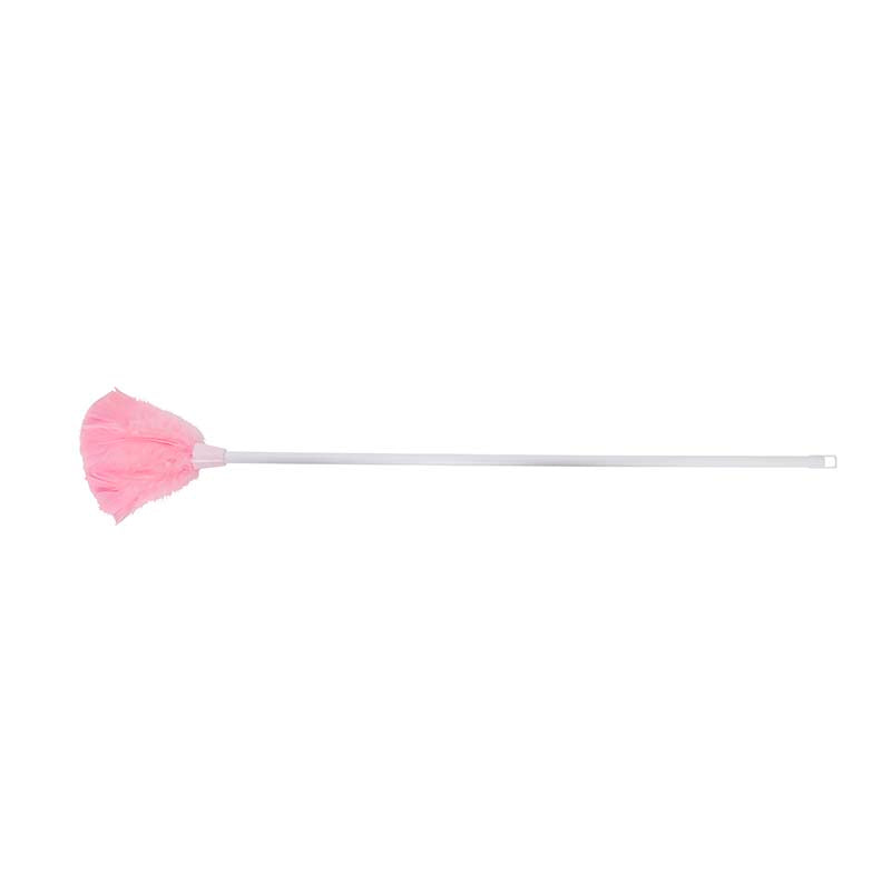Feather Duster