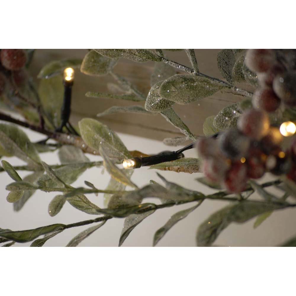 50 Battery Operated LED Timer Lights Warm White