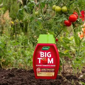 Big Tom Tomato Feed 1L + 25% extra free