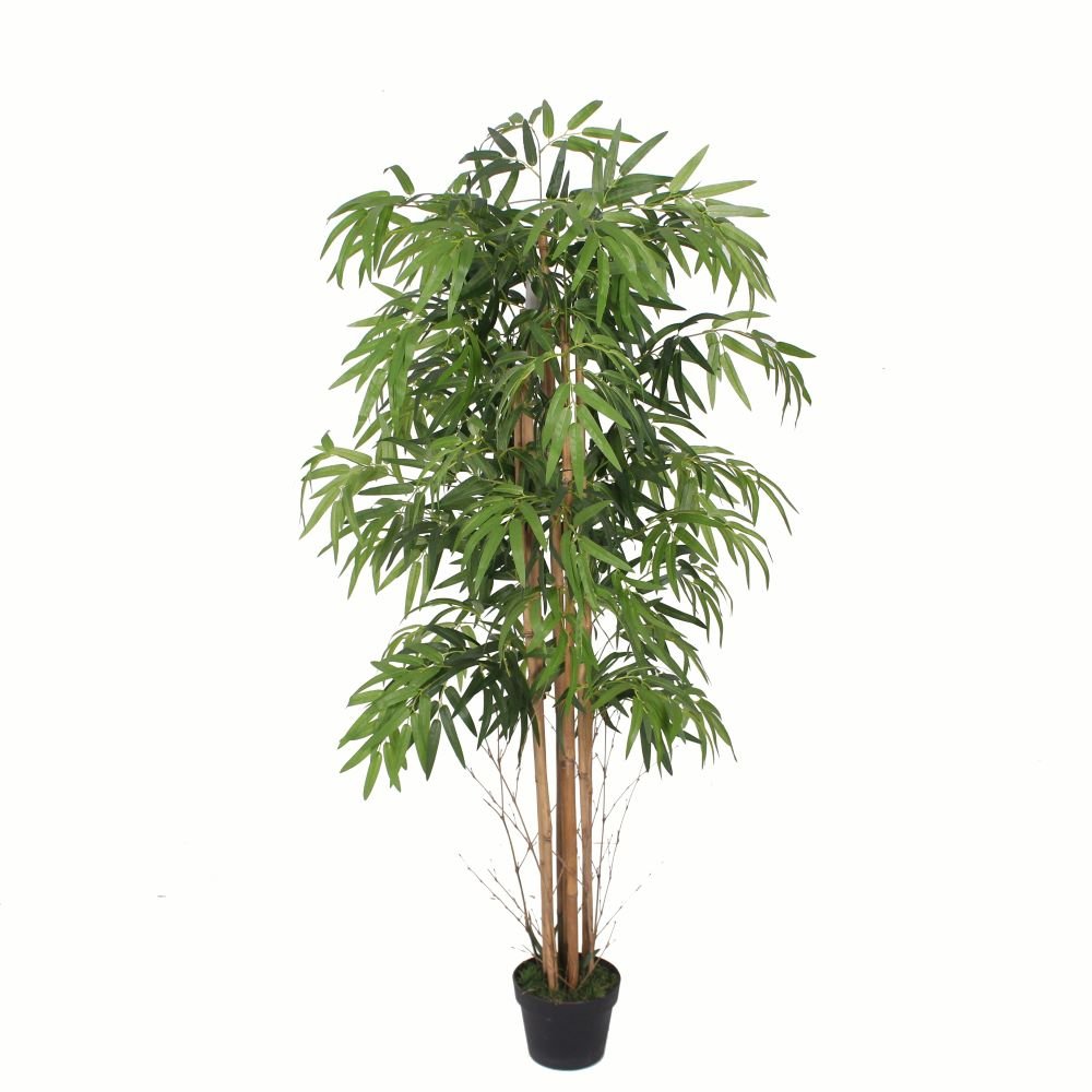 Bamboo Plants in Black Pot H150cm