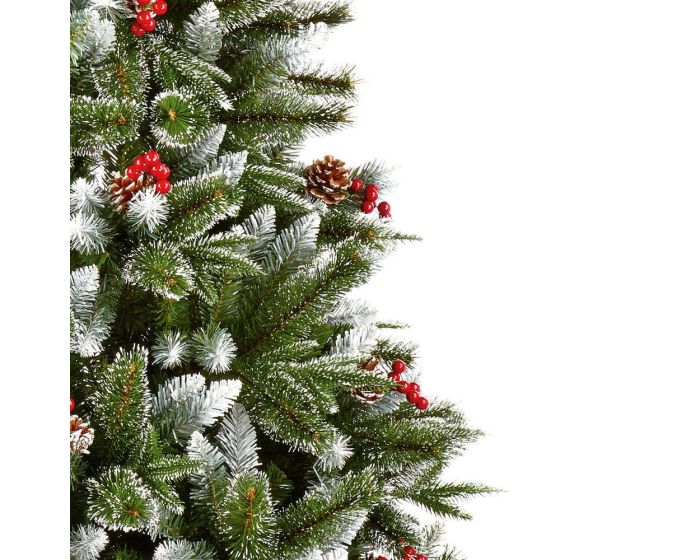 New Jersey Spruce Christmas Tree H240cm