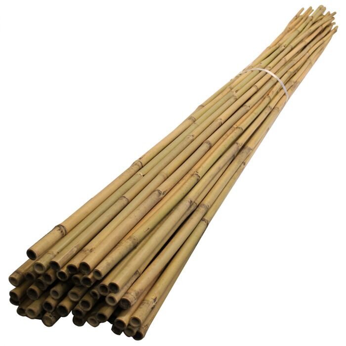 Bamboo Canes  1.2 MTR / 4 FT.