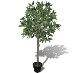 Bay Tree H120CM