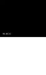 Fleetwood Weatherclad Black 250ML