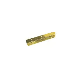 Brass Piano Hinge 25MM