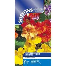 Nasturtium Tropical Mix Seed