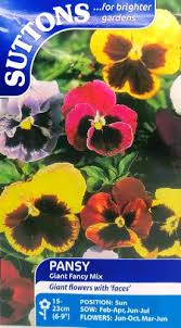 Pansy Giant Fancy Mix Seed