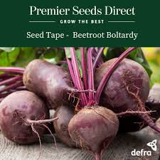 Beetroot Boltardy Seeds