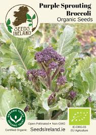 Broccolli Seeds