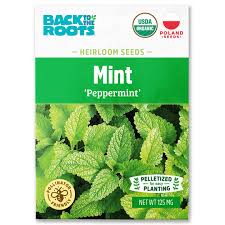 Mint Seeds