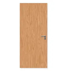 Flush Door 24''