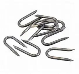 Staples Galv 20mm X 2X 1kg