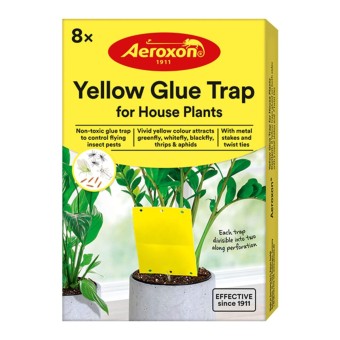 Aeroxon Yellow Glue Trap for House