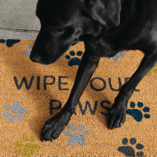 Wipe Your Paws Mat Coco Outdoor Doormat 45x75cm