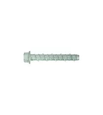 Screwbolt 6X100MM