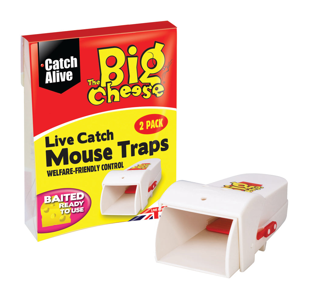 Big Cheese Live Catch Mouse Trap